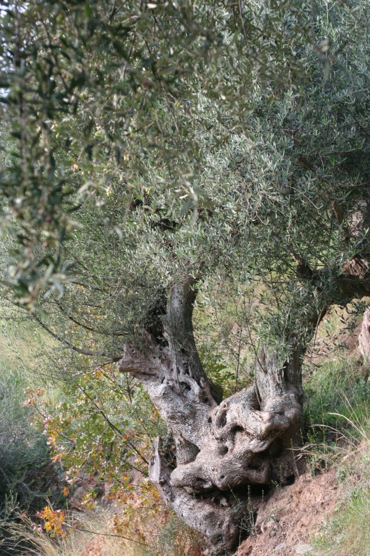 075 ..zum Beispiel um diesen hier ...